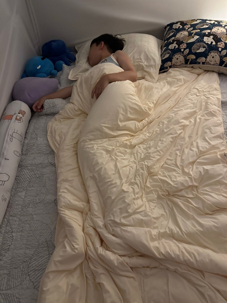  여름차렵이불 누비지오 아이스몽글 후기