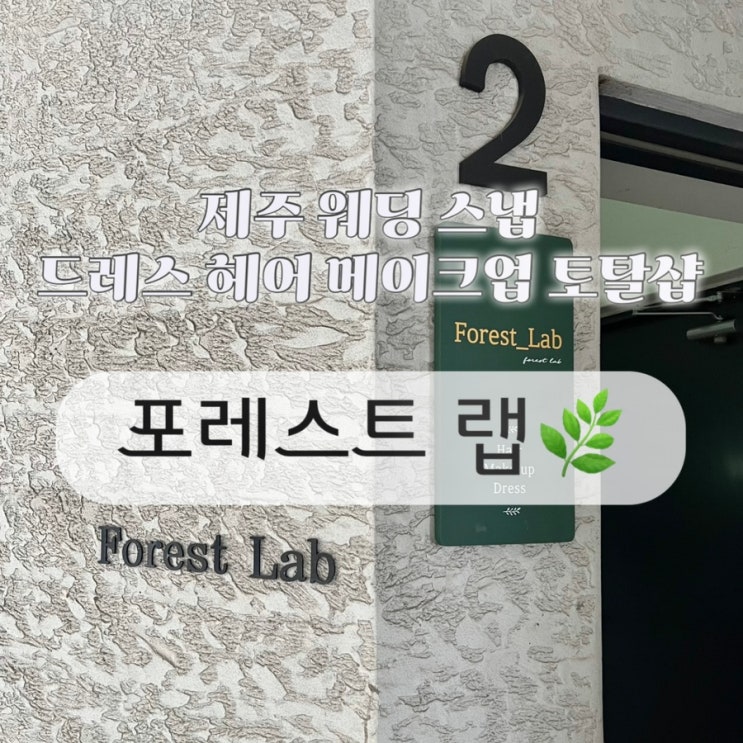  W.34 제주 웨딩 스냅 포레스트 랩 드레스 헤어 메이크업 토탈샵 후기