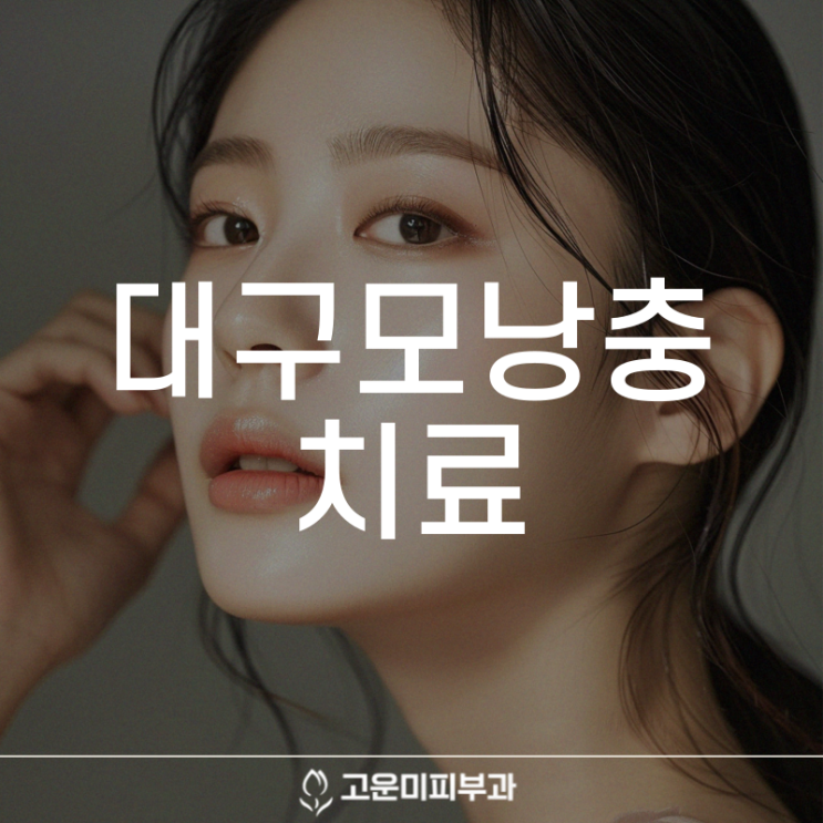  대구모낭충치료 피부 트러블의 원인이 되는 모낭충을 제거하는 복합적이고 효과적인 치료