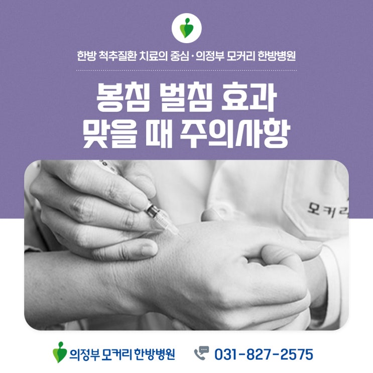  의정부역 한방병원 봉침 효과, 봉침 맞을 때 주의사항