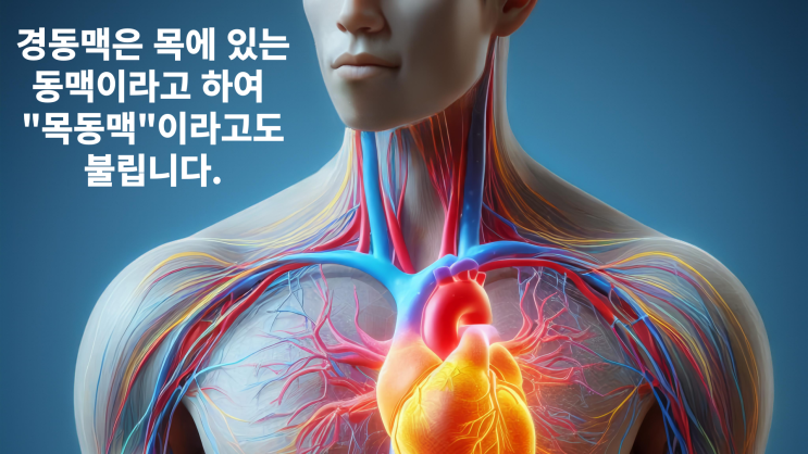  건강검진 후 경동맥 협착으로 뇌동맥 폐색 및 협착(I65) 진단과 뇌졸중진단비 지급 사례 알려드립니다