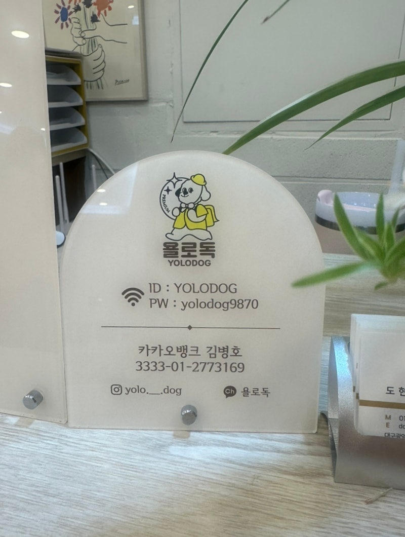 욜로독애견유치원