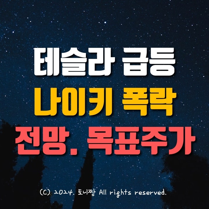 테슬라 급등, 나이키 폭락, 왜? 전망. 목표주가... 테슬라 급등, 나이키 폭락, 왜? 전망. 목표주가...