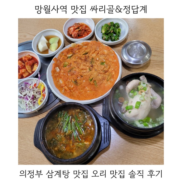  의정부 맛집 망월사역 싸리골정답계 삼계탕 오리뚝배기