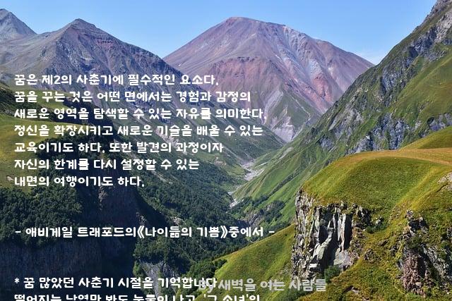 .......사춘기 .......사춘기