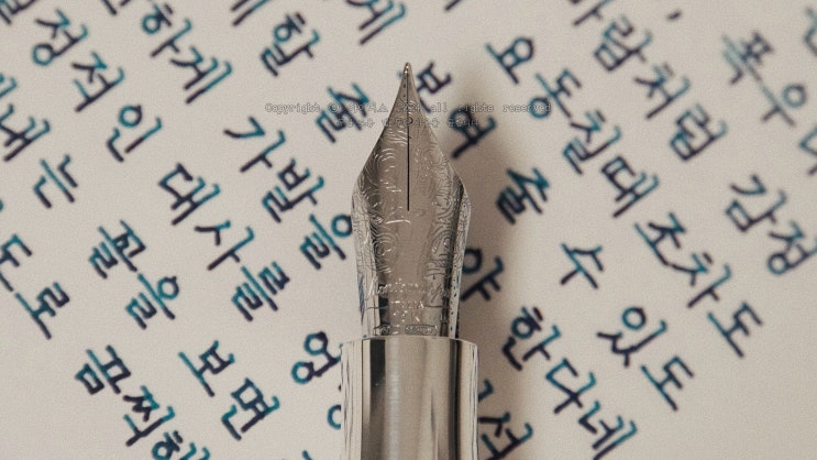  햄릿의 연기지도 (몬테그라파 엑스트라 F닙 만년필로 필사하기)
