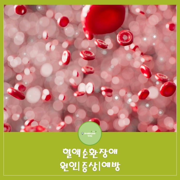  수족냉증과 하체부종을 부르는 혈액순환장애 원인과 증상 예방법 알아보기