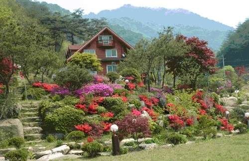 꿈동산펜션 사진 1