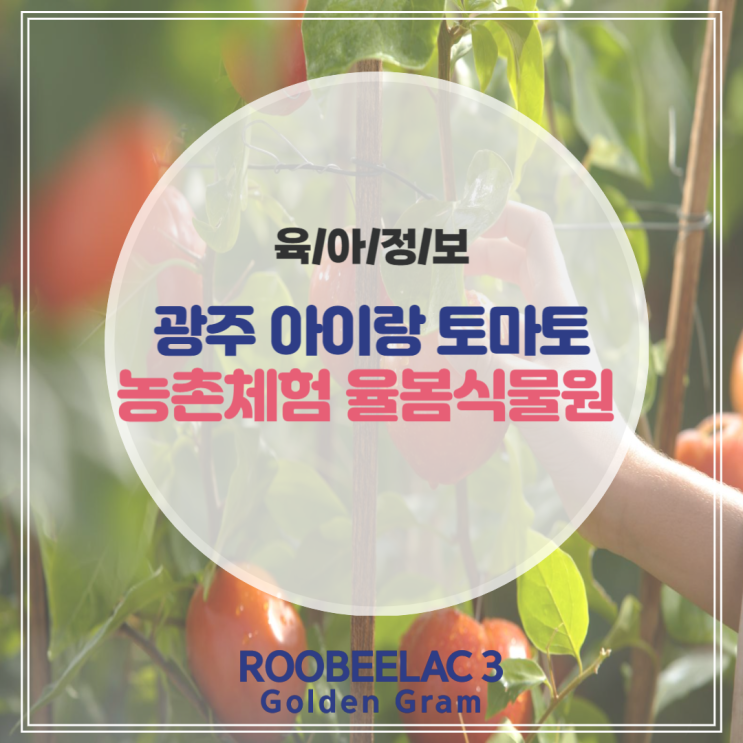  경기도 광주 아이랑 토마토 농촌체험 가능한 율봄식물원 by. 덴마크 슈퍼 프리미엄 분유 루비락 3