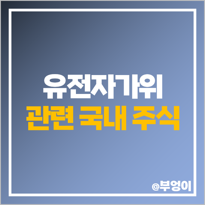 유전자가위 관련주 아미코젠 지노믹트리 툴젠 헬릭스미스 주가 앱클론 주식 유전자가위 관련주 아미코젠 지노믹트리 툴젠 헬릭스미스 주가 앱클론 주식