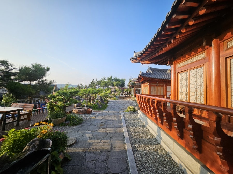 돌머리696 사진 3