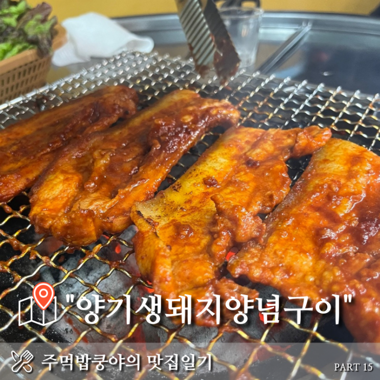 [대구] 주먹밥쿵야의 맛집일기 (계명대맛집 - 양기생돼지양념구이 성서본점)