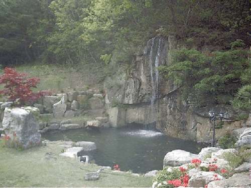 꿈동산펜션 사진 2