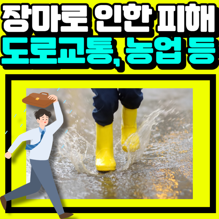 장마로 인한 피해 도로 교통과 농업, <b>토사 유출</b> 등