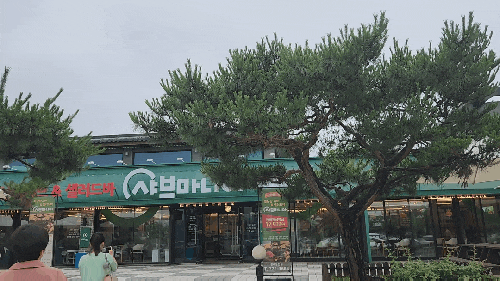  경주보문샤브맛집 동천동 놀이방 샤브마니아