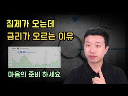 침체가 오는데 금리가 미칫듯이 오르는 이유(ft.함정) 침체가 오는데 금리가 미칫듯이 오르는 이유(ft.함정)