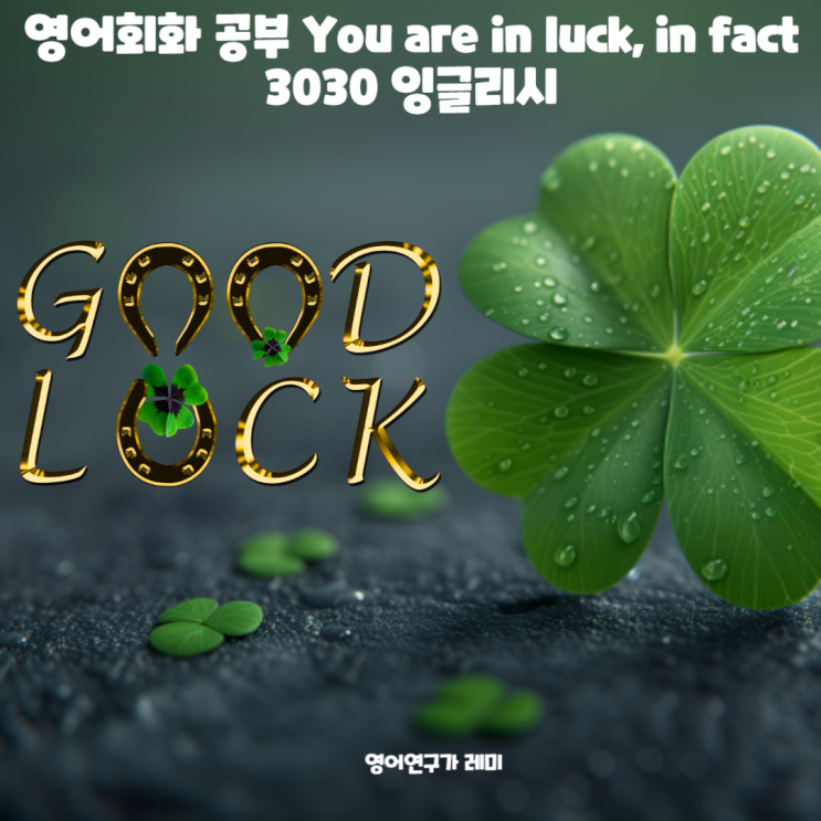 영어회화 공부 혼자하기 You are in luck, in fact 3030 잉글리시 영어회화 공부 혼자하기 You are in luck, in fact 3030 잉글리시