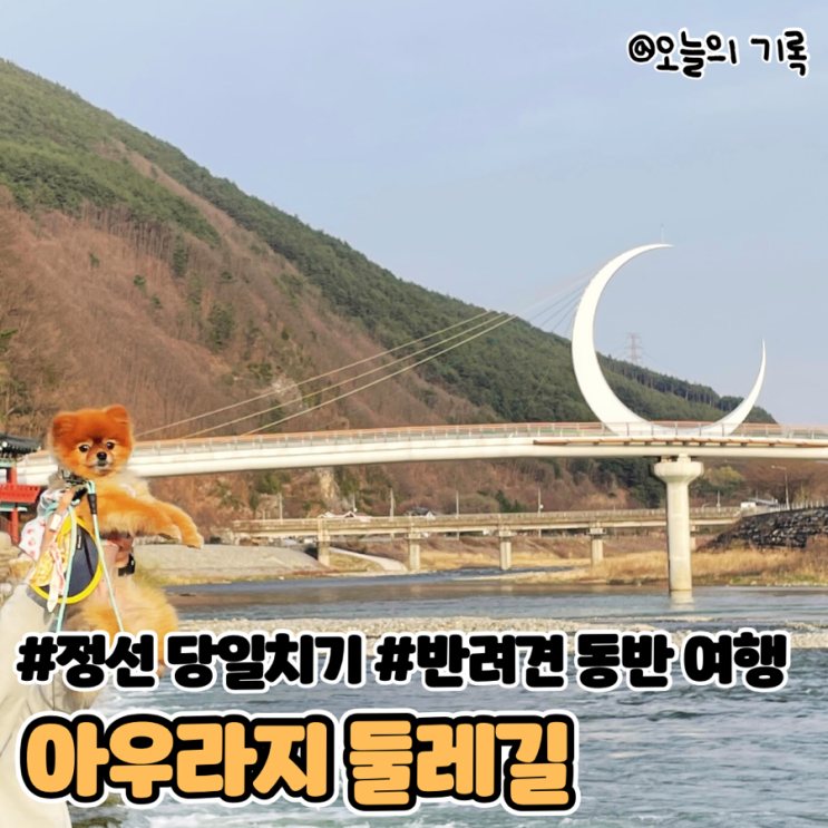  [강원도 정선] 두두와 정선 당일치기 여행 - 강아지 동반 가능  아우라지 둘레길