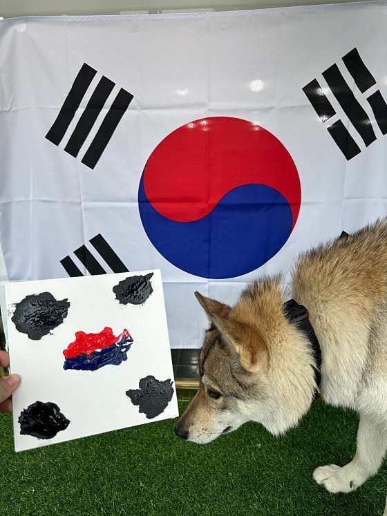 사진 2