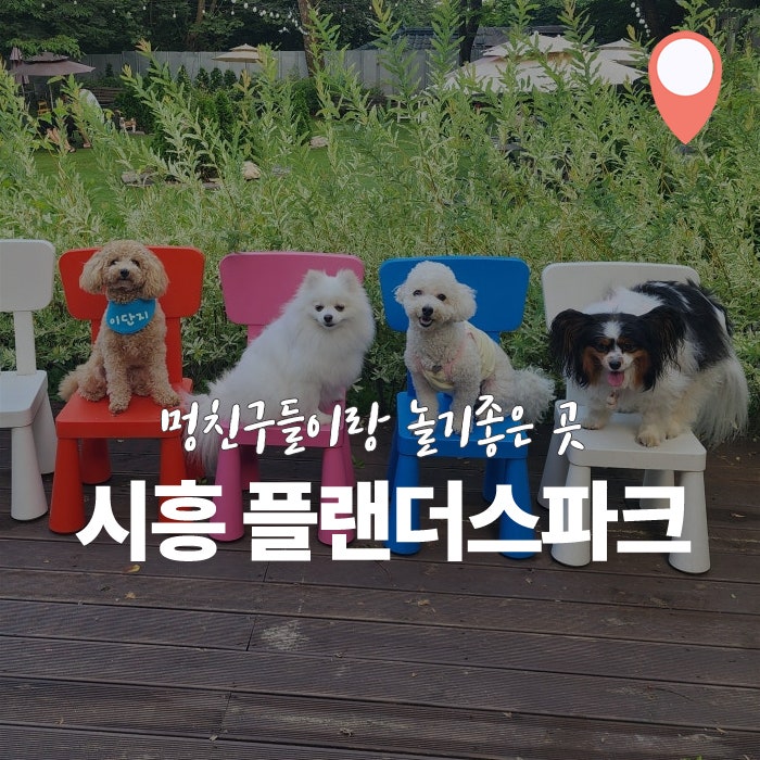 사진 8