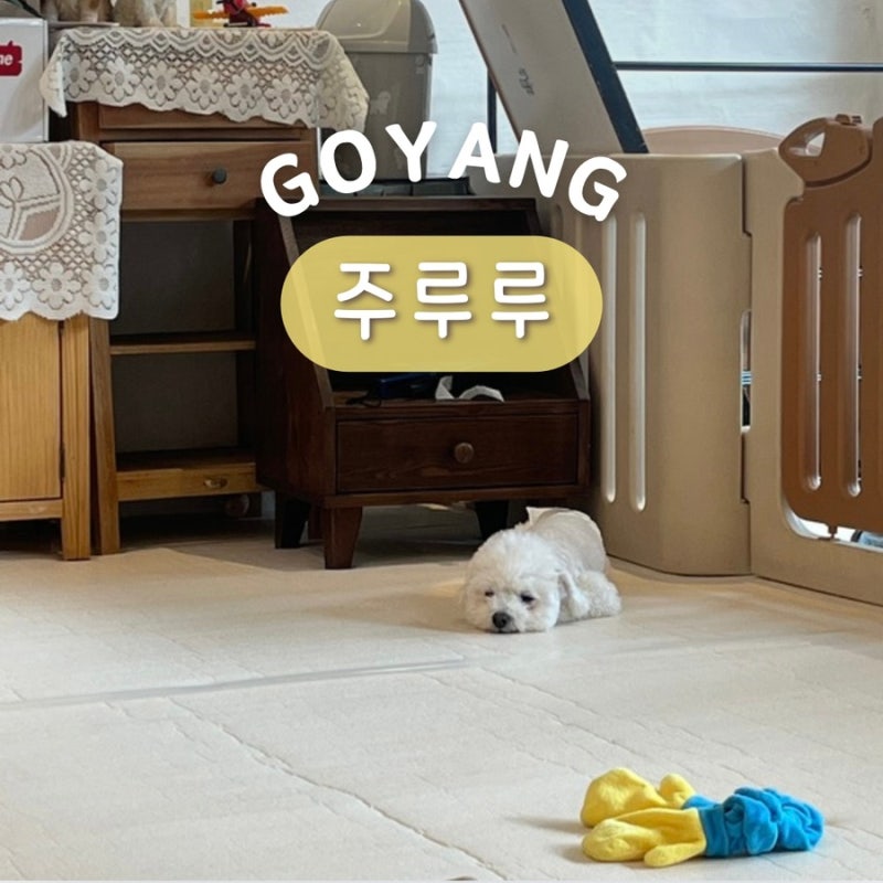 사진 4