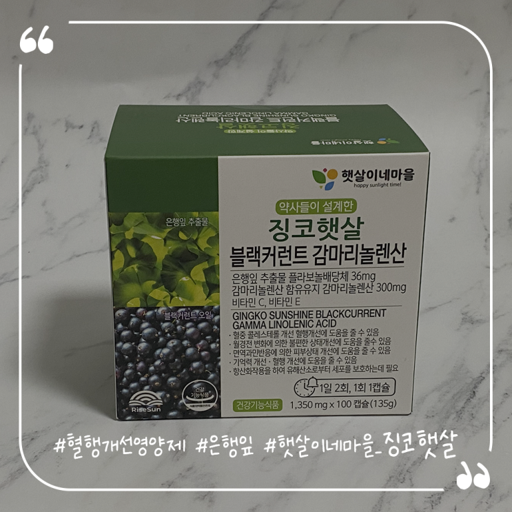  혈행개선영양제추천 햇살이네마을 징코햇살