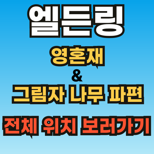 엘든링 DLC 그림자 나무 파편, 영혼재 전체 위치 지도 보는 법 엘든링 DLC 그림자 나무 파편, 영혼재 전체 위치 지도 보는 법