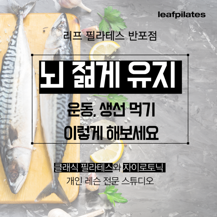  [원베일리 필라테스]뇌 건강 젊게 유지하는 방법/ 반포필라테스 리프