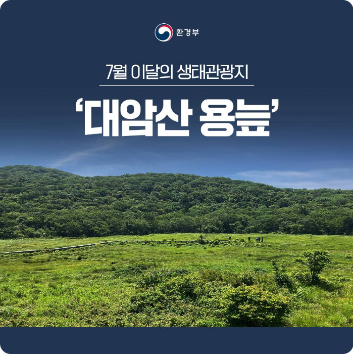  [환경] 대암산 용늪(23년 7월 이달의 생태관광지)