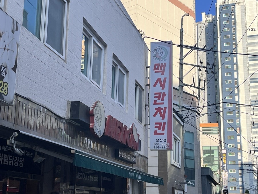 맥시칸치킨 남산점 사진 2
