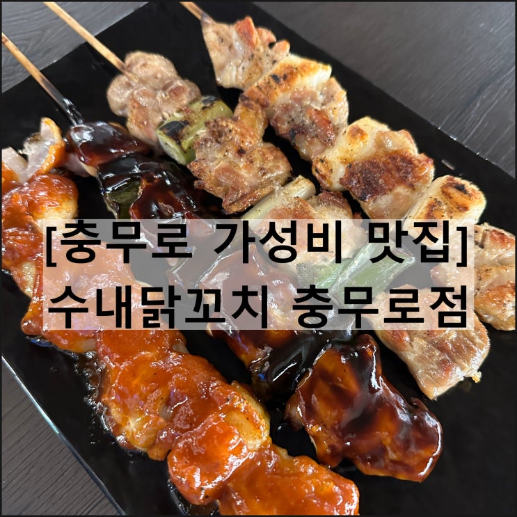  수내닭꼬치 충무로점 | 충무로가성비맛집 충무로단체모임 을지로회식