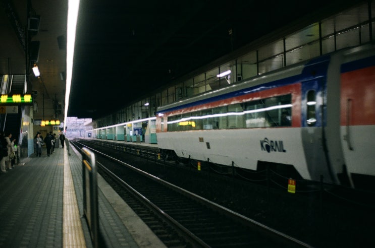  [Pentax MeSuper] 24년도 상반기 결산