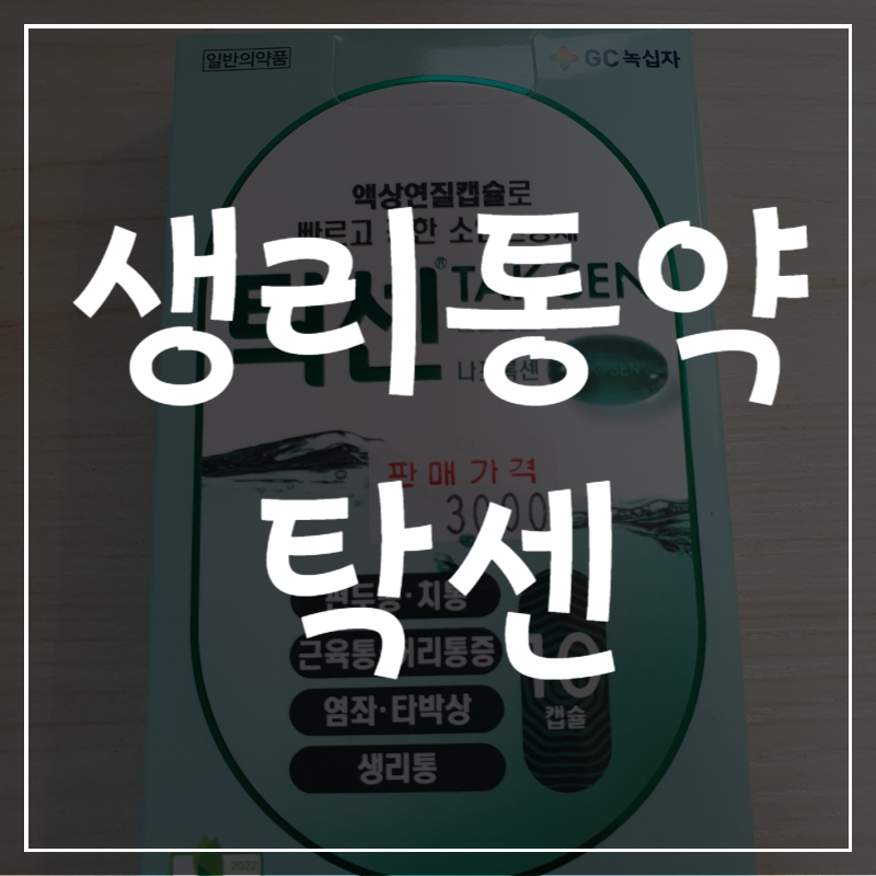 생리통약 탁센 생리통효과 성분 섭취방법
