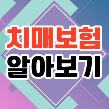  메리츠 간병비보험 정확한 목표 설정해두기