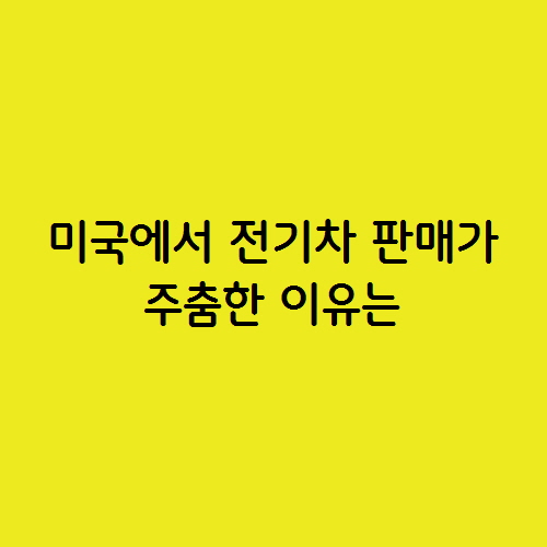  미국에서 전기차 판매가 주춤한 이유는