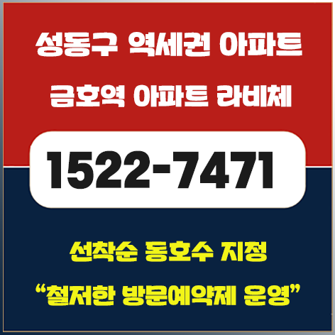  금호역 라비체 홍보관 위치 성동구 금호동 반값 아파트 정보