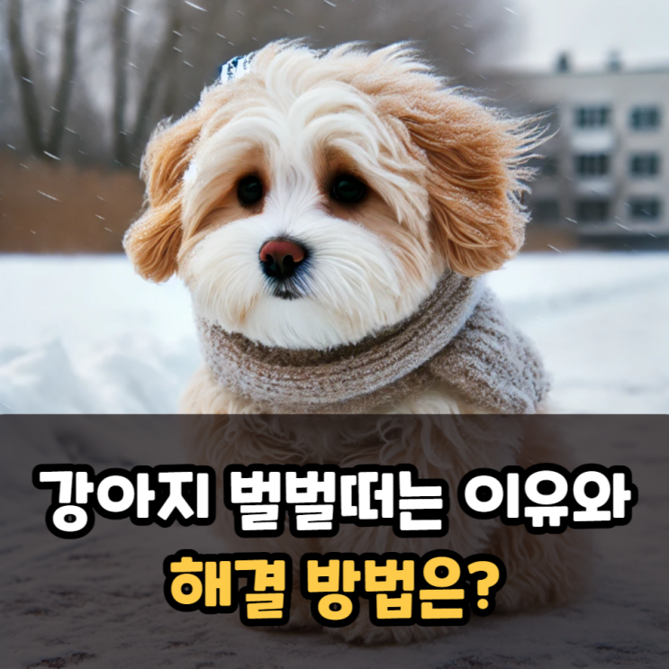  강아지가 벌벌떠는 이유와 해결 방법은?