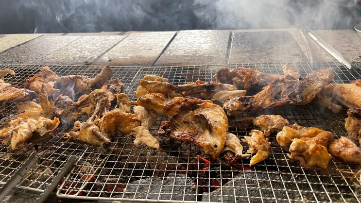  홋카이도 삿포로 신치토세 공항 근처 현지인 맛집 히가시치토세 바베큐_캠핑 느낌의 숯불닭구이