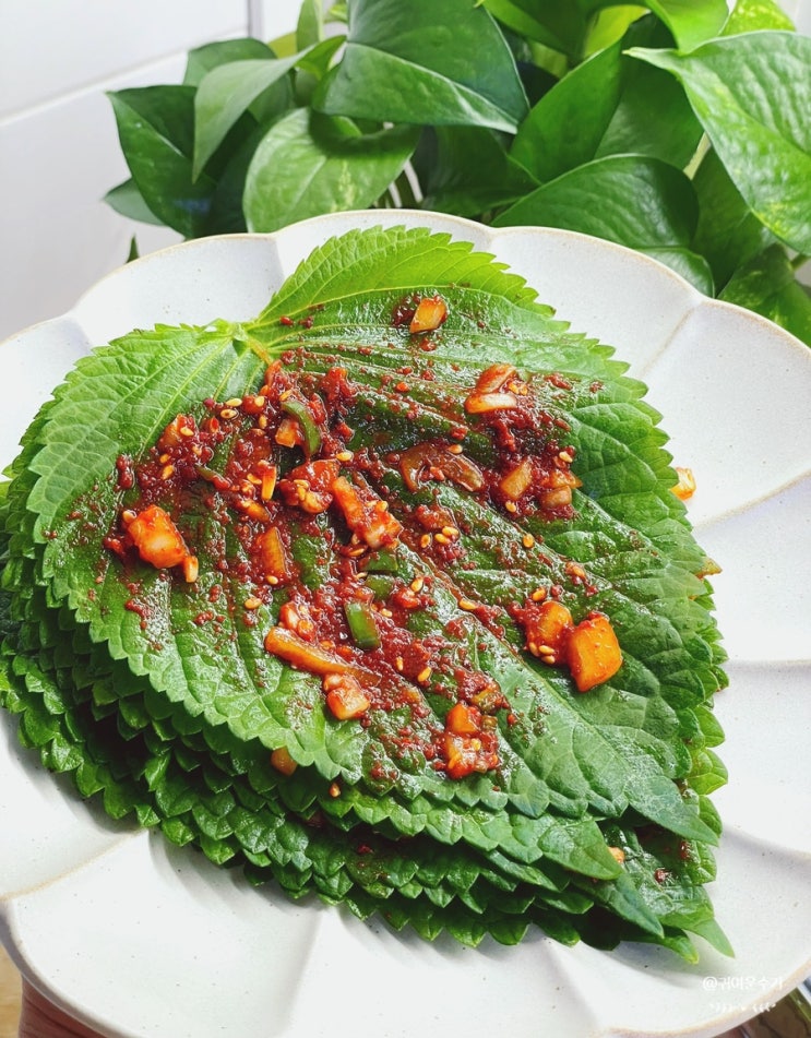  생깻잎김치 만들기 깻잎양념장 레시피 입맛 없을 때 밥도둑반찬 요리 깻잎씻기