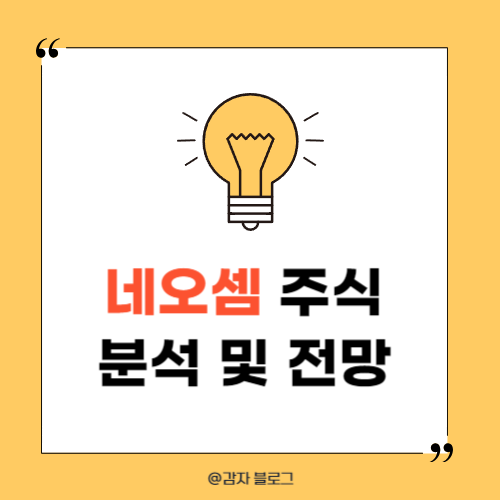  네오셈 주식 분석 및 주가 전망