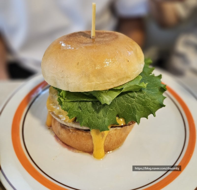 칠리로29