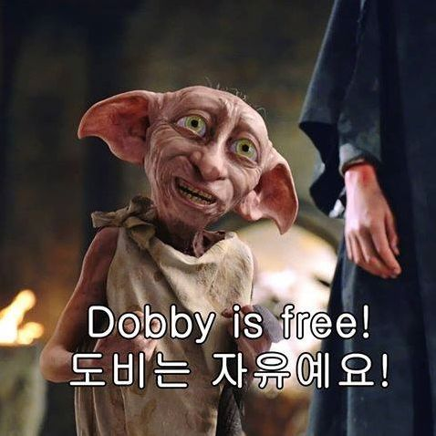  제가 갑자기 퇴사를 하게 됐어요?