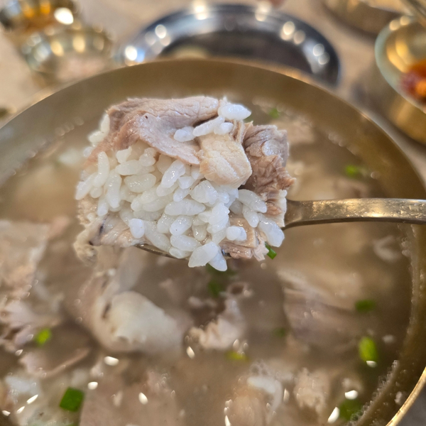  양재역맛집 추천 양재옥 돼지곰탕 후기