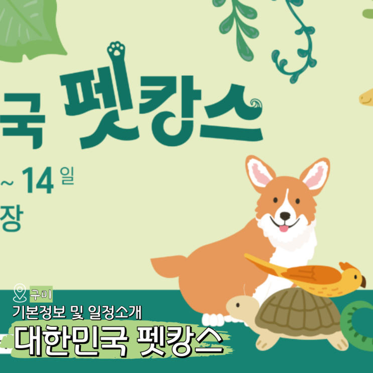  대한민국 펫캉스 2024 구미 축제 기본정보