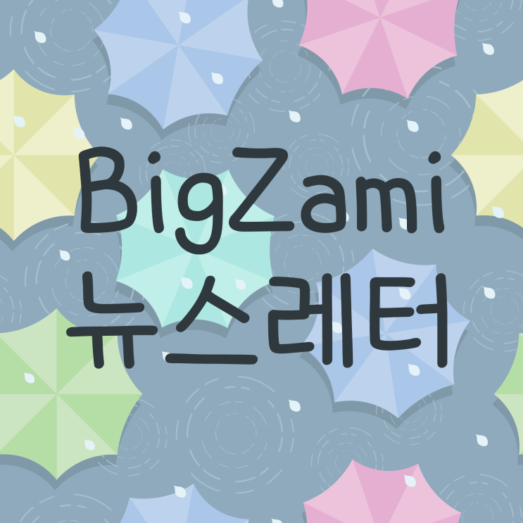  뉴스레터 [빅재미 주간소식 2024.7.4]