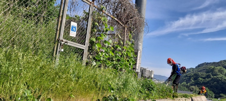  울산 울주군 두서면 및 두동면 공공기관 통신설비 주변 '예초작업'("울산예초대행")