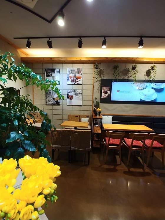 요거프레소 당진프리미엄점 사진 5