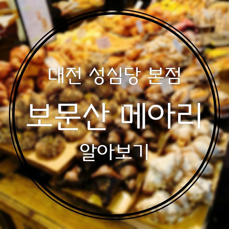  성심당 베스트 빵 보문산메아리 가격 칼로리 선물추천 택배 구매 방법