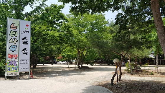 느티나무펜션 사진 5