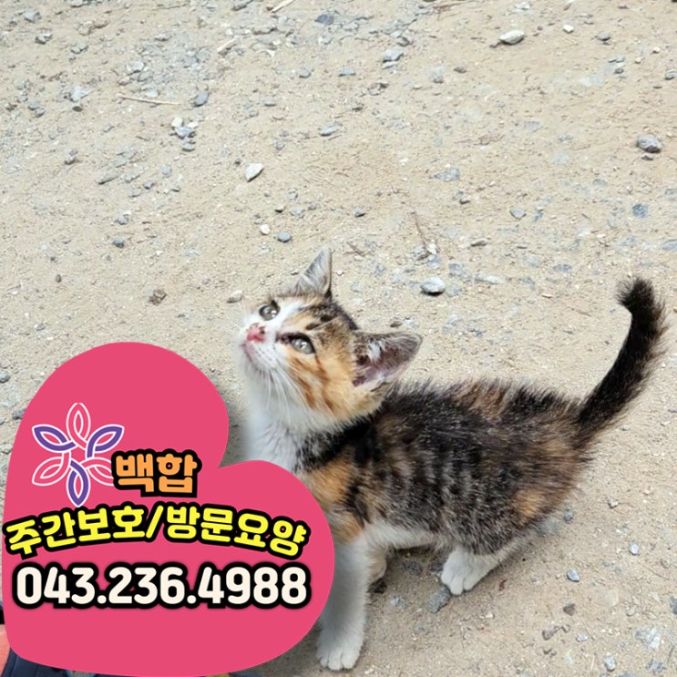  청주방문요양센터 고령자 생활을 지원하는 맞춤형 재가 서비스